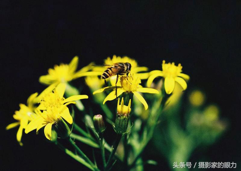 每日学习电脑知识,每日学习一点摄影技巧