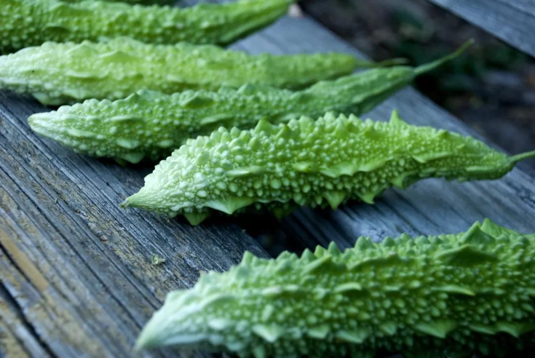 营养医生划重点:孕期别碰苦瓜