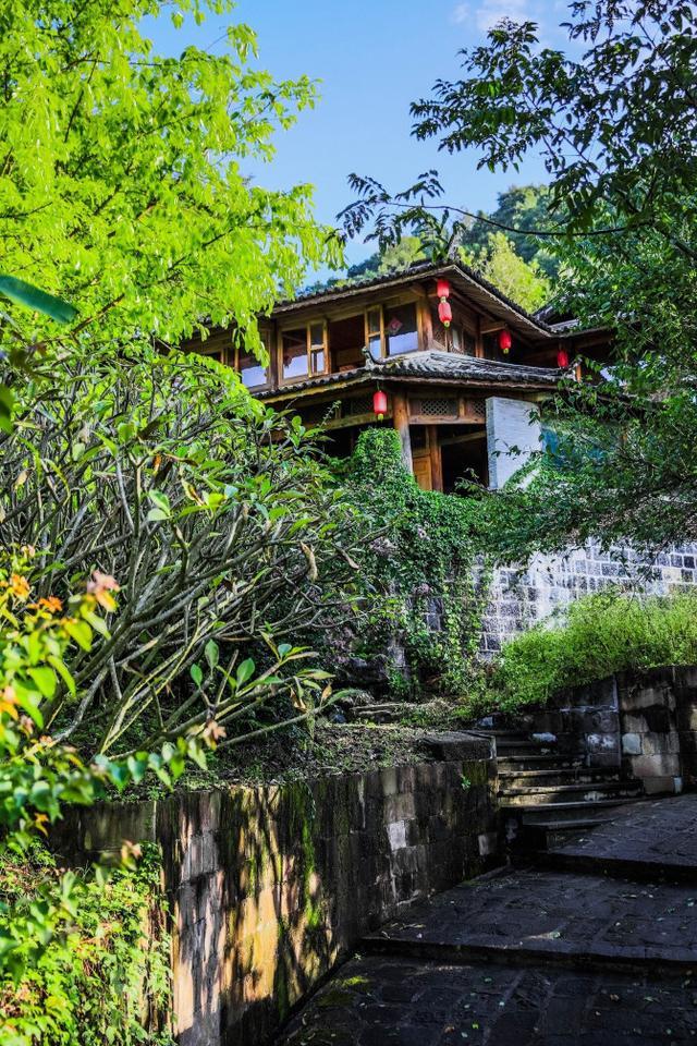 鑽疯姳鍙ら晣鑵惧啿,鑵惧啿鑽疯姳鍙ら晣