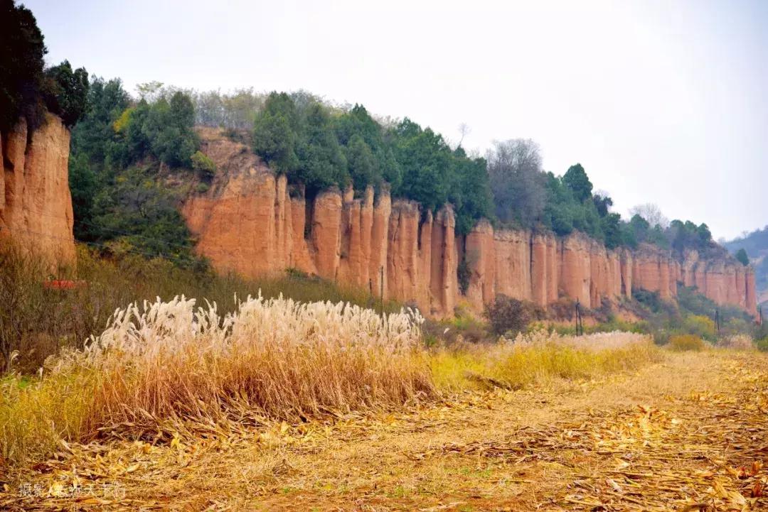 红土林景点,合水红土林
