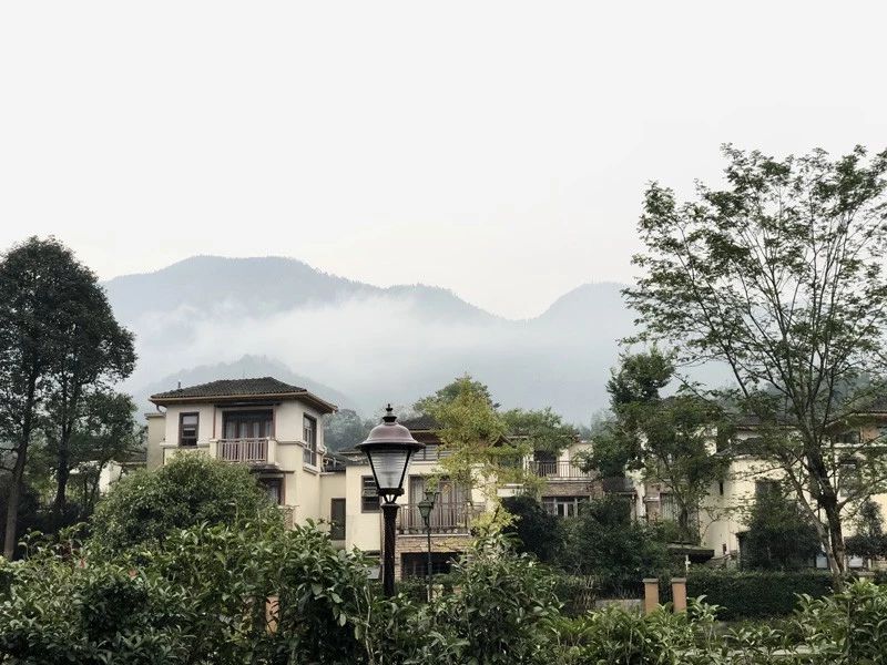 成都花水湾旅游攻略一日游,花水湾西岭雪山二日游