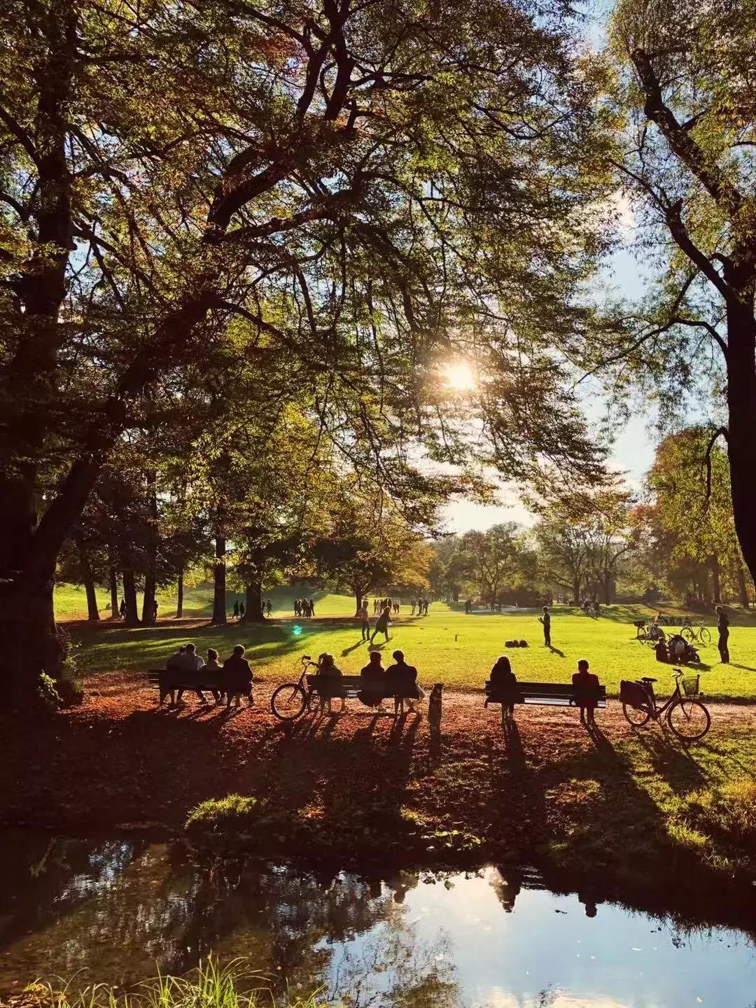 你用过哪些会回购的美白身体乳,无限回购身体乳秋冬丝塔芙