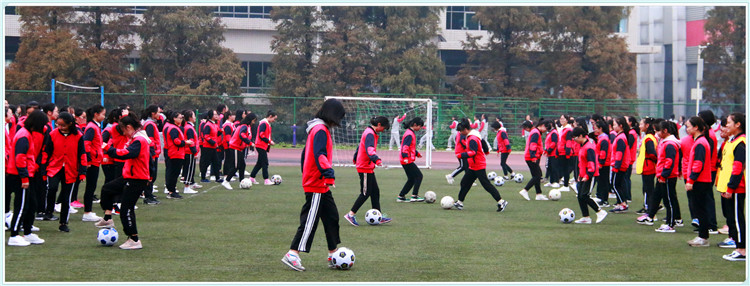 全国足球特色学校评估,四川省洪雅县中小学足球比赛