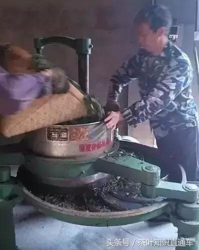 武夷岩茶圆形制茶机怎么用,岩茶制茶全过程