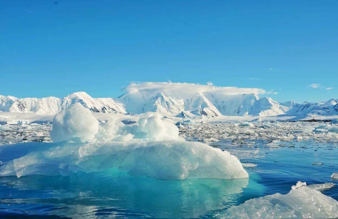 飞猪2000人南极旅游,去南极的旅行