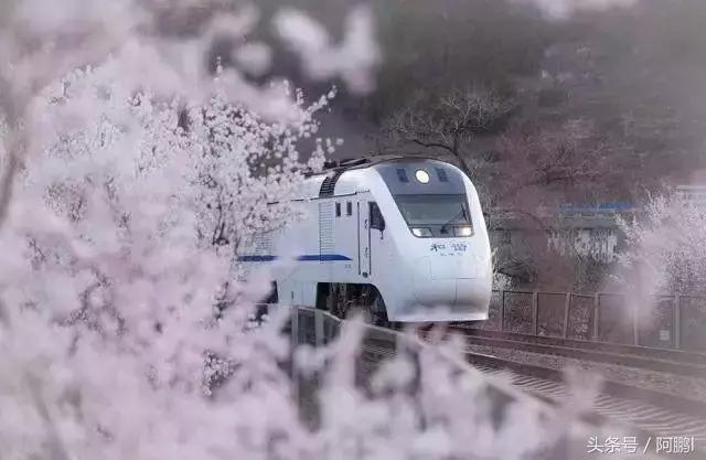 高铁轻轨动车有什么区别,动车票和高铁票有什么区别