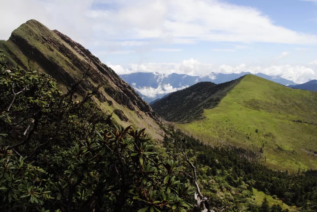 百慕大黑竹沟未解之谜,指南针失效