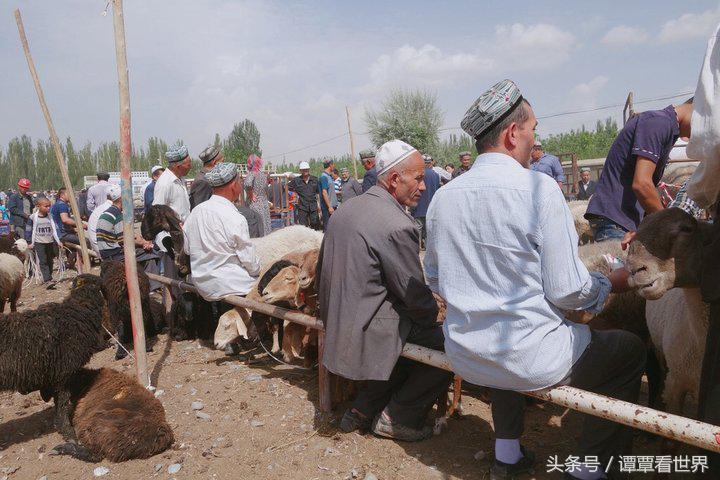 令人大开眼界的车,喀什牛羊大巴扎有意思吗