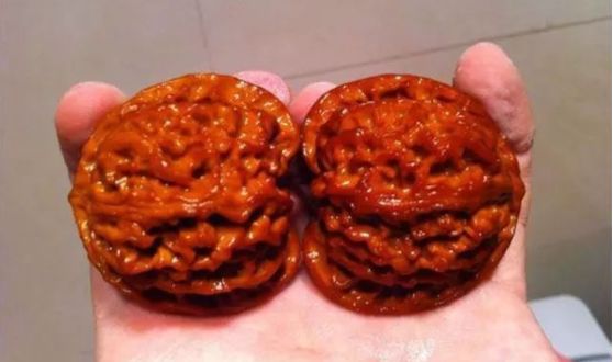 文玩核桃包浆注意事项,文玩核桃一直不上色什么原因