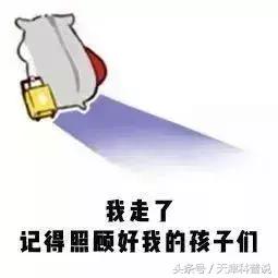 苍蝇飞过食物,苍蝇落在食物上会怎么样