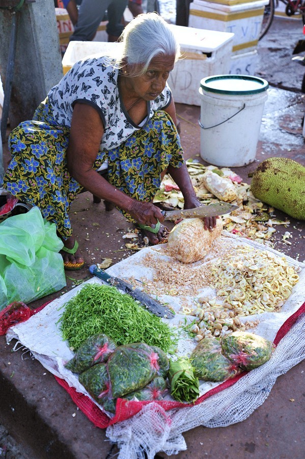 人文摄影斯里兰卡,锡兰风景