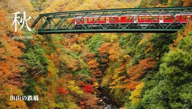 日本最小的岛屿是哪个岛,日本最小的一个岛屿