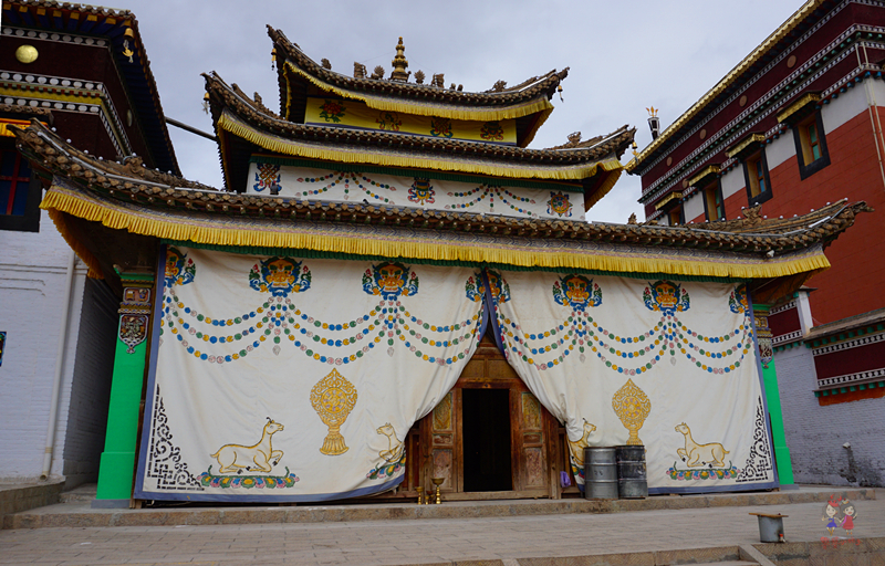 为什么藏人都说喇嘛最聪明?探秘青藏高原寺中的灵魂密码师