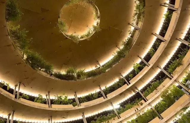 低成本民宿建造,5个小时建造农村别墅