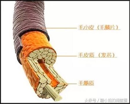 美发暴利的视频,美发行业染发价格内幕