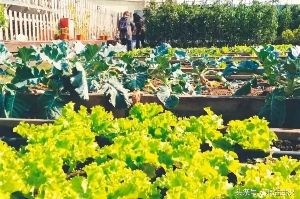 赛车场卡丁车武汉,赛车卡丁车武汉