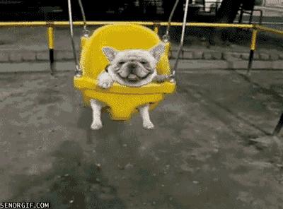 网贷催收找上门可以报警吗,网贷逾期催收人员上门催收怎么办