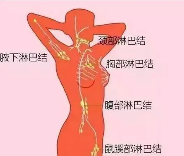 淋巴结肿大里面有疙瘩摸着还挺疼,淋巴结肿大大夫说没有事