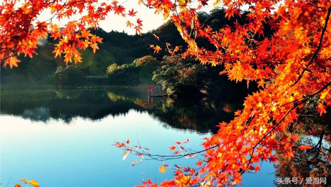 日本十大温泉胜地推荐,日本十大秘境温泉