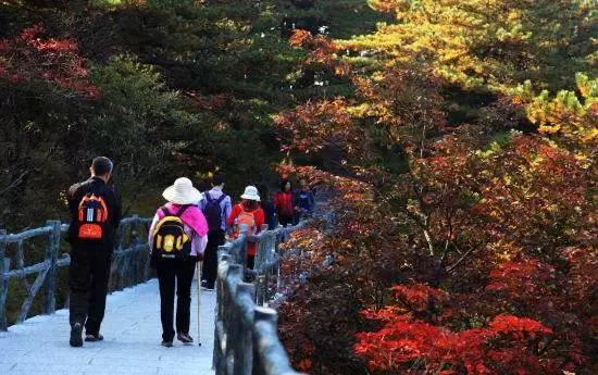 幼儿园秋游活动方案,幼儿园秋游活动准备通知