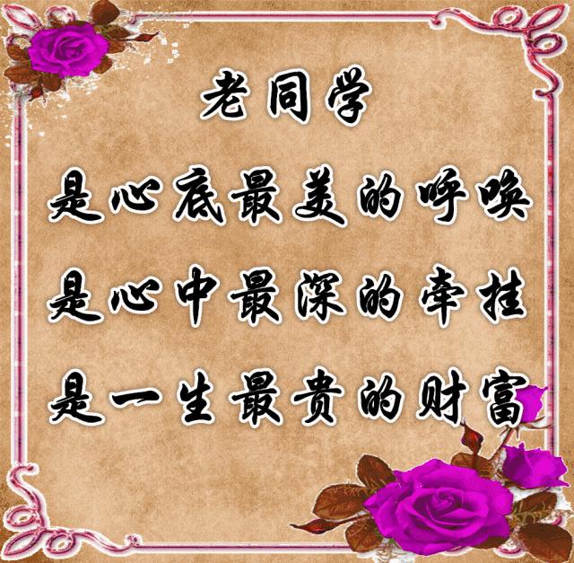 把最美的祝福送给亲爱的老同学,亲爱的老同学祝福语
