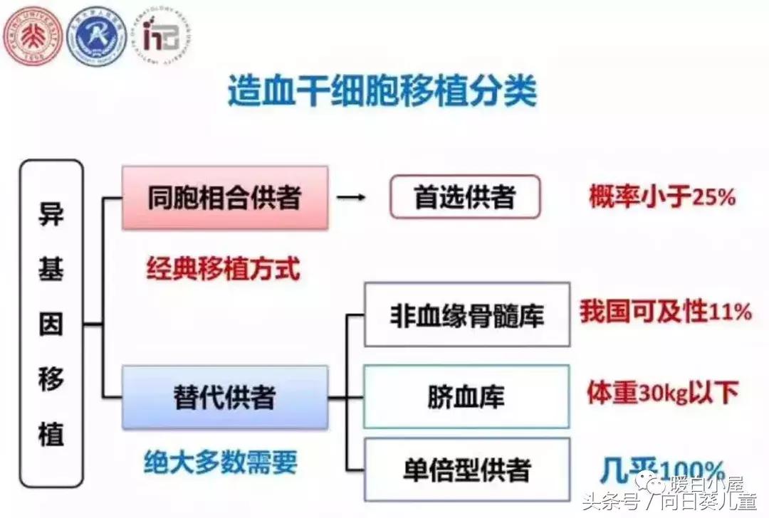 我是怎么患上白血病的自述,我得了白血病怎么办
