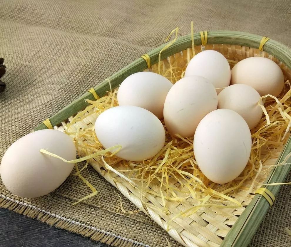 酵素防癌治病,酵素防癌抗癌吗