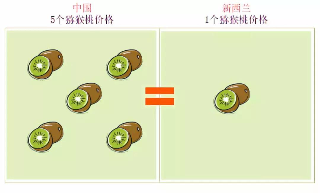新西兰小岛国,是如何将一个猕猴桃送上水果行业的“神坛”