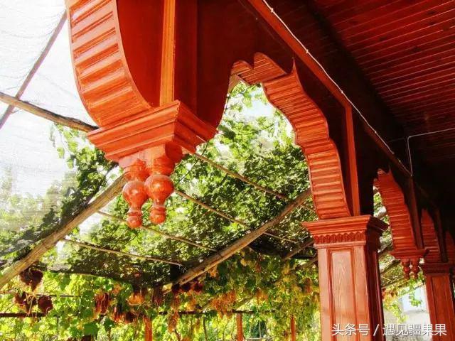 伊犁最美旅游风景区,伊犁旅游攻略探索最美风光