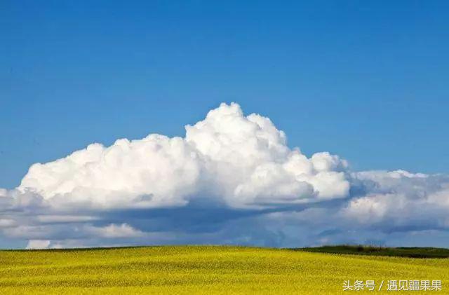 伊犁最美旅游风景区,伊犁旅游攻略探索最美风光