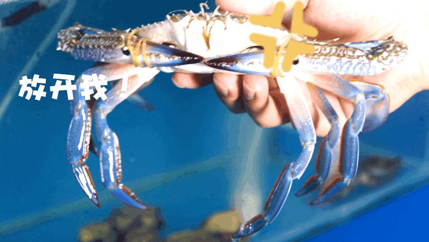 这里的海鲜竟然会蒸桑拿,让你一秒穿越到东南亚!