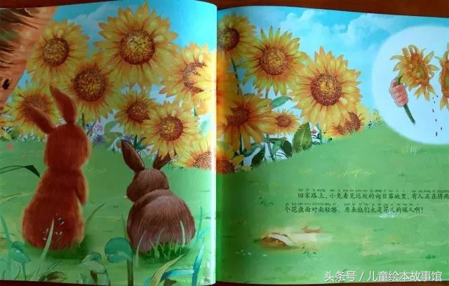 儿童绘本故事美丽的风景,花儿的故事绘本