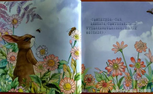 儿童绘本故事美丽的风景,花儿的故事绘本