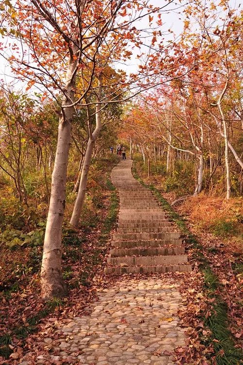 北仑十大爬山景点,北仑免费爬的山有哪些景区
