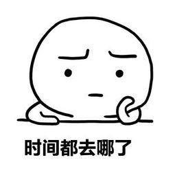 withoutquestion,withoutquestion怎么用