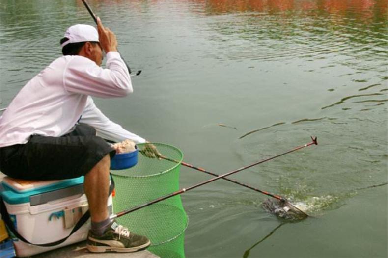白鲳鱼怎么钓路亚,淡水白鲳鱼用什么鱼饵钓上钩最快