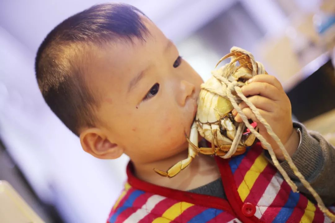 品尝清蒸大闸蟹公蟹和母蟹,清蒸大闸蟹前蟹需要处理吗