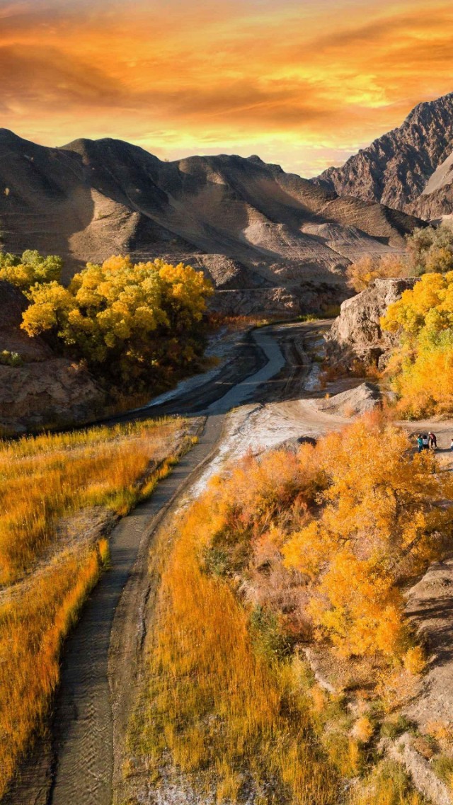 原创论文《当今诗人，以不懂为美》