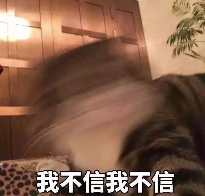 谜之时尚！看完2018年度大牌的奇葩单品，从来没这么心疼过有钱人