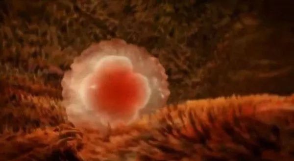 hcg值100多是宫外孕能看到包块吗,hcg2000做阴超看得出宫内宫外吗