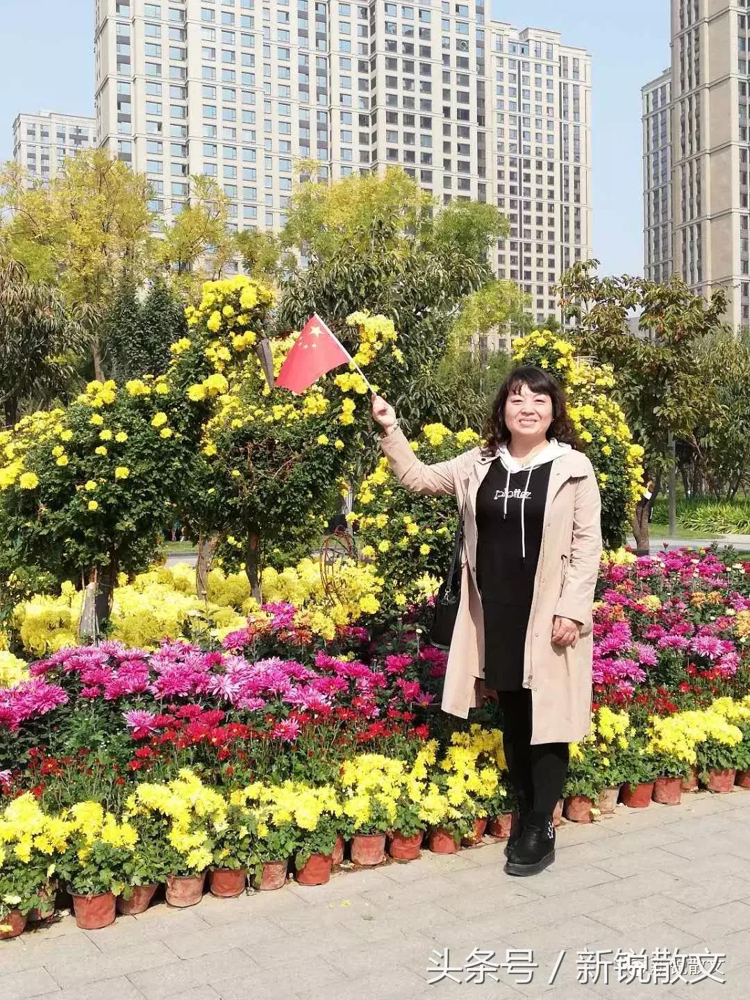 今年太原和平公园有菊花展吗,太原和平公园赏菊花