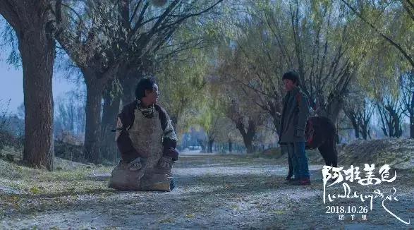 不安利这部讲述*藏西**的优秀国产片，我良心不安！