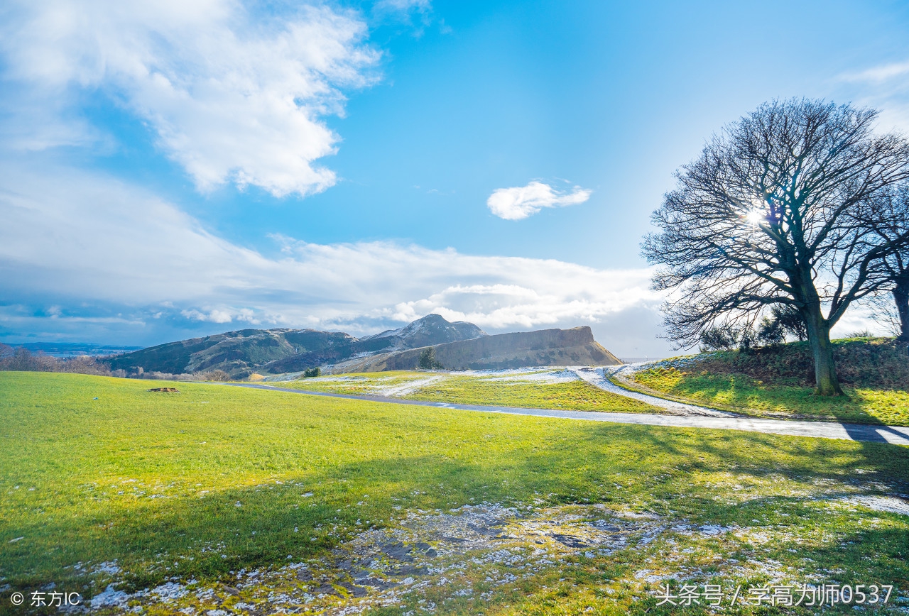 中考名著阅读昆虫记怎么考,中考名著阅读昆虫记最全知识点