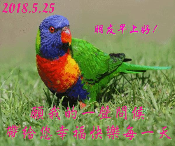 清晨早上好问候祝福动态表情图片,早上最打动人心的问候动态图片