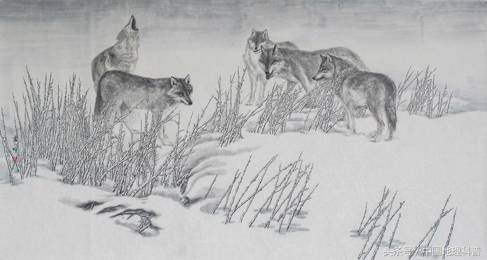 黑龙江的地理气候,黑龙江省地形地貌与气候特征