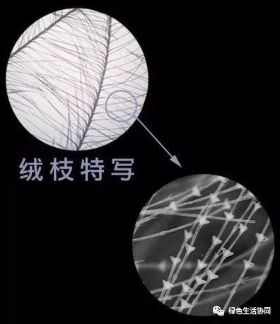 淘宝一百多的羽绒被是真的吗,淘宝上的羽绒被质量可靠吗