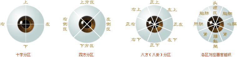 经方学习讲座,经方学堂分享