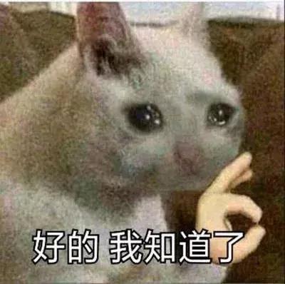 浪费钱的小红书爆款，劝你别买了！