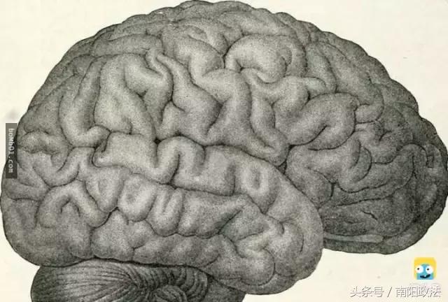 被雷劈是种什么样的体验？看完简直身受同感