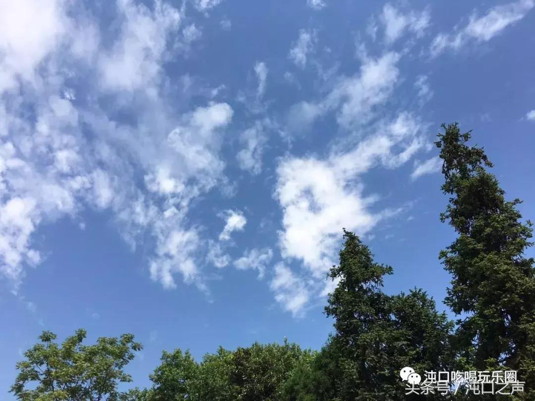 30张照片清晰全屏,沌口图片